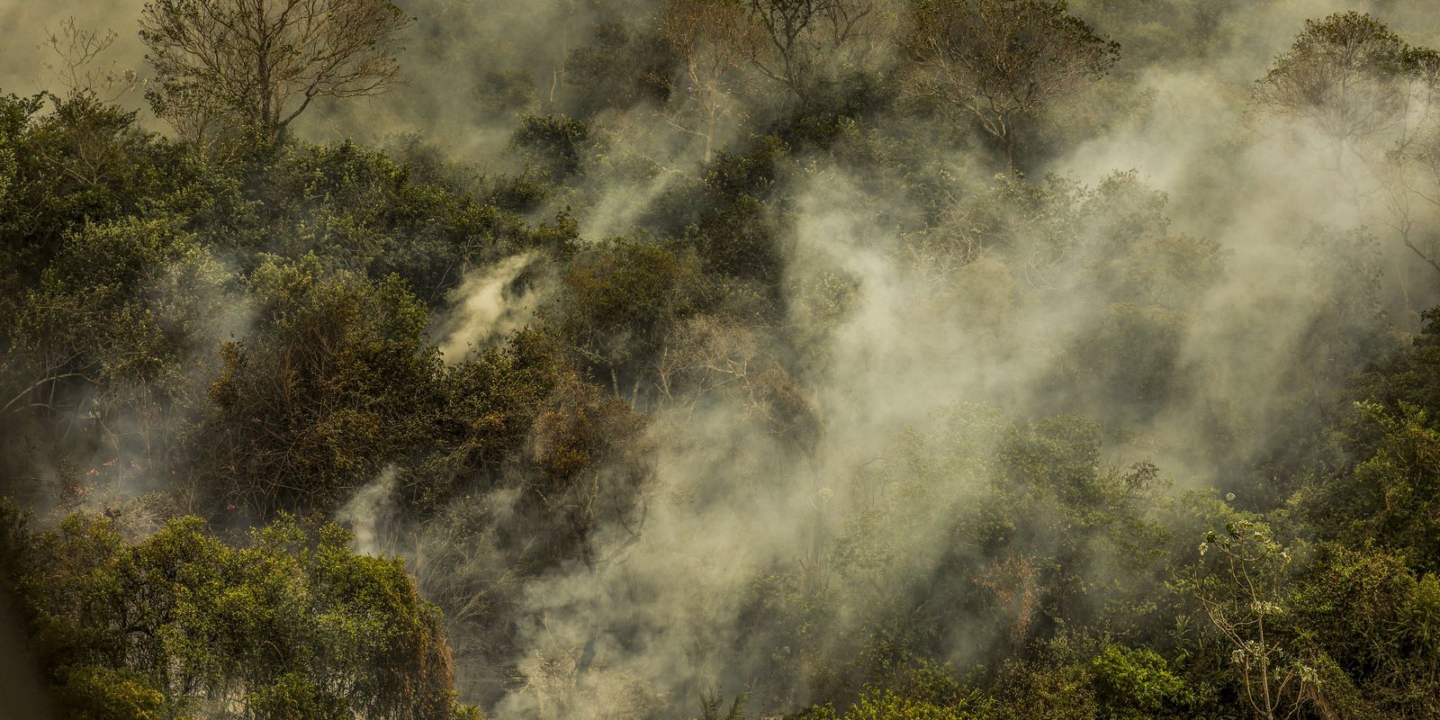 rondonia-declara-situacao-de-emergencia-por-incendios-florestais