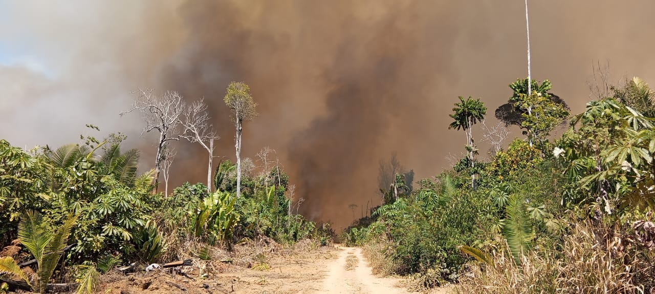 governo-de-rondonia-decreta-emergencia-por-causa-de-incendios-florestais