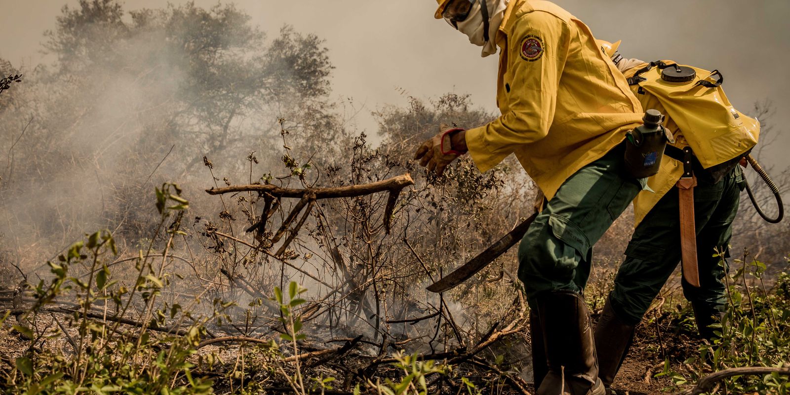 incendios-no-pantanal-ja-consumiram-este-ano-mais-de-15%-do-bioma