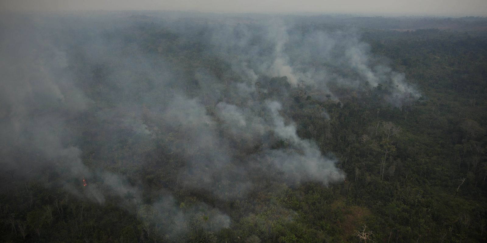 risco-de-incendio-fecha-80-unidades-de-conservacao-em-sao-paulo