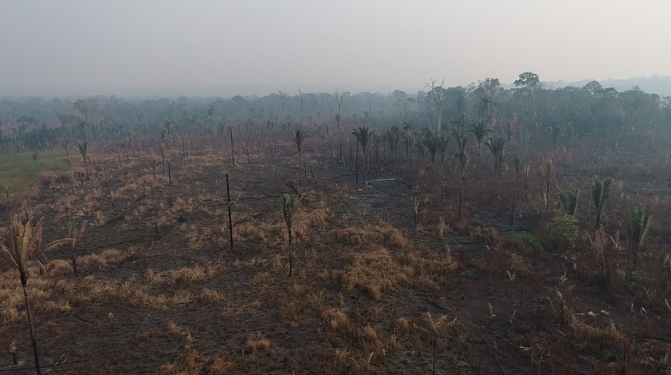 forca-tarefa-combate-incendios-que-destroem-parque-guajara-mirim-ha-quase-dois-meses