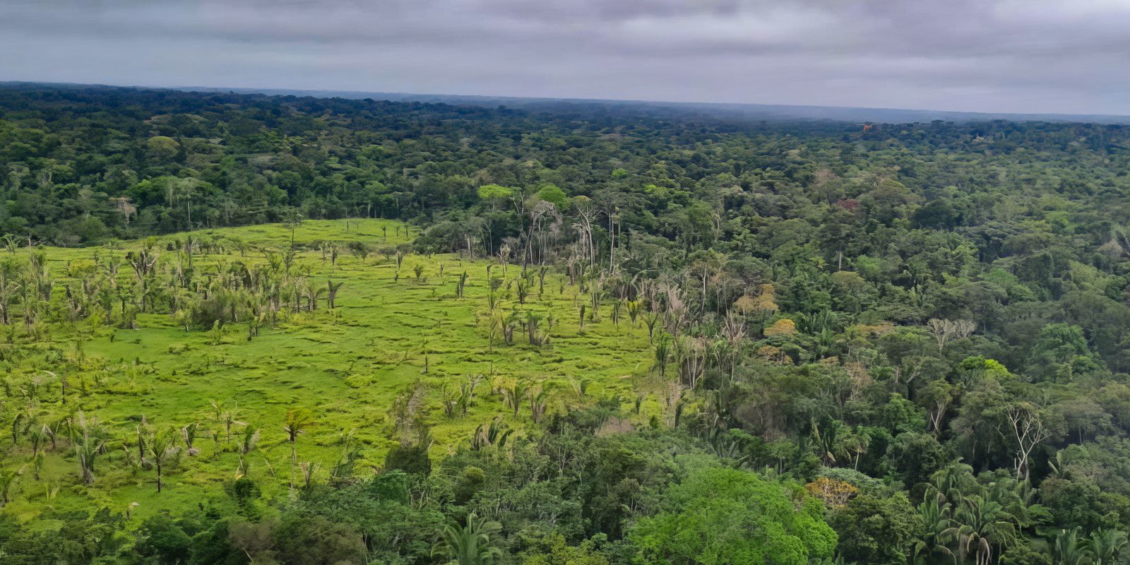 alertas-de-desmatamento-na-amazonia-caem-10,6%-em-agosto