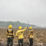 dino-estabelece-orcamento-de-emergencia-para-combate-a-incendios