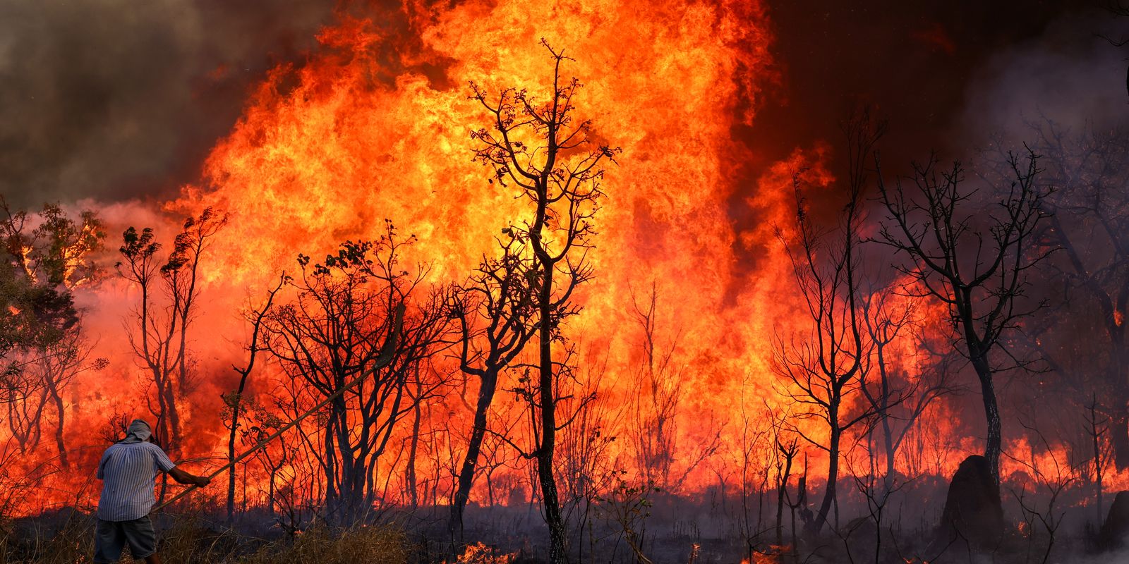 incendio-de-grandes-proporcoes-atinge-parque-nacional-de-brasilia