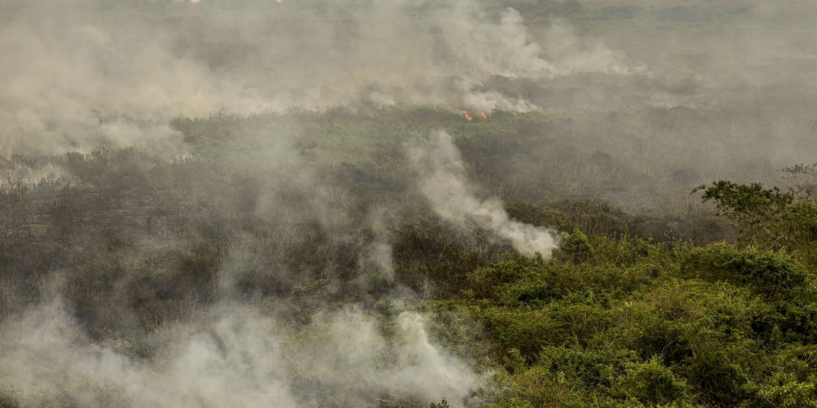 militares-do-exercito-comecam-a-combater-incendios-no-tocantins