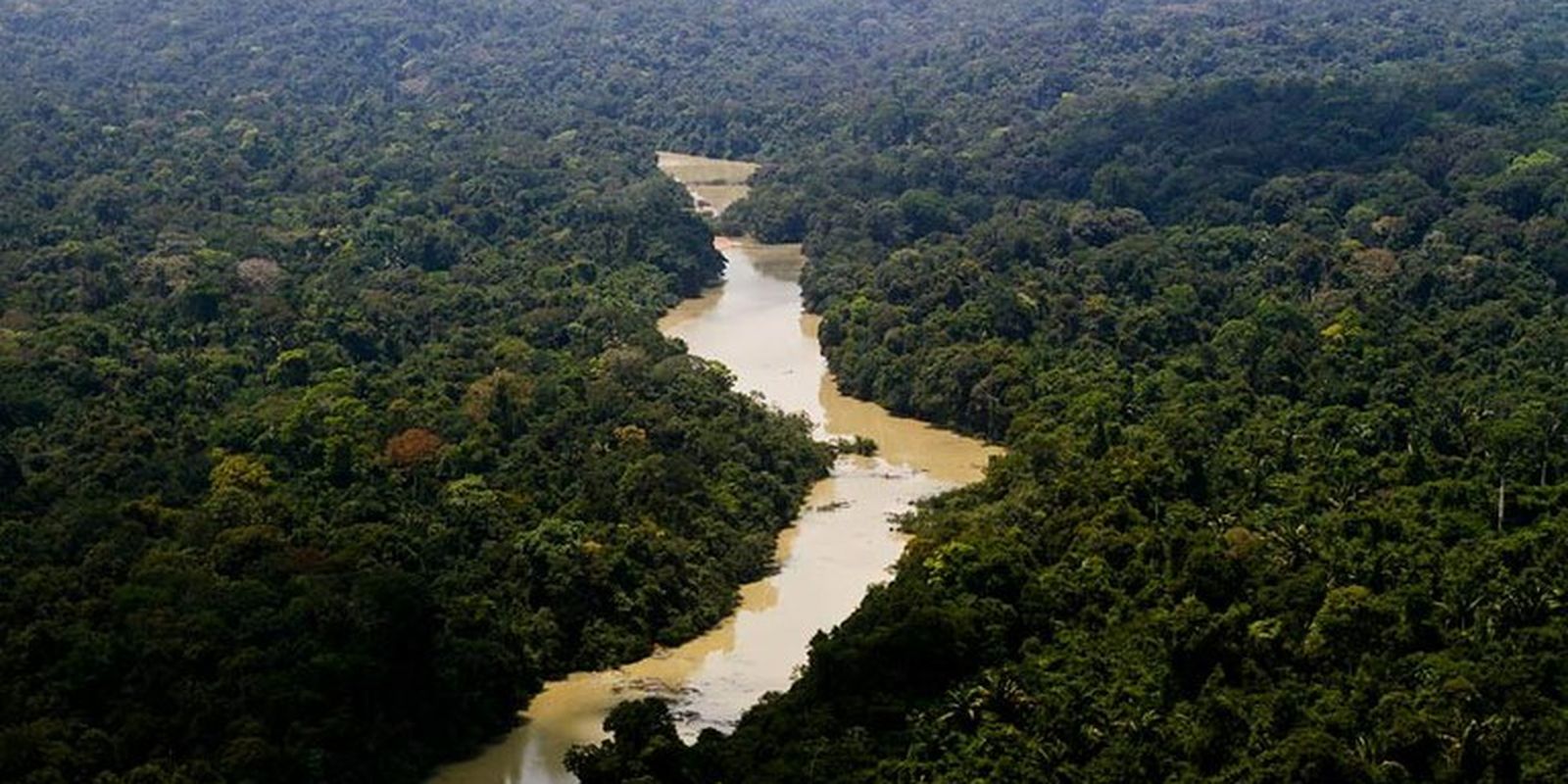 governo-entra-com-primeira-acao-por-danos-climaticos-contra-a-amazonia