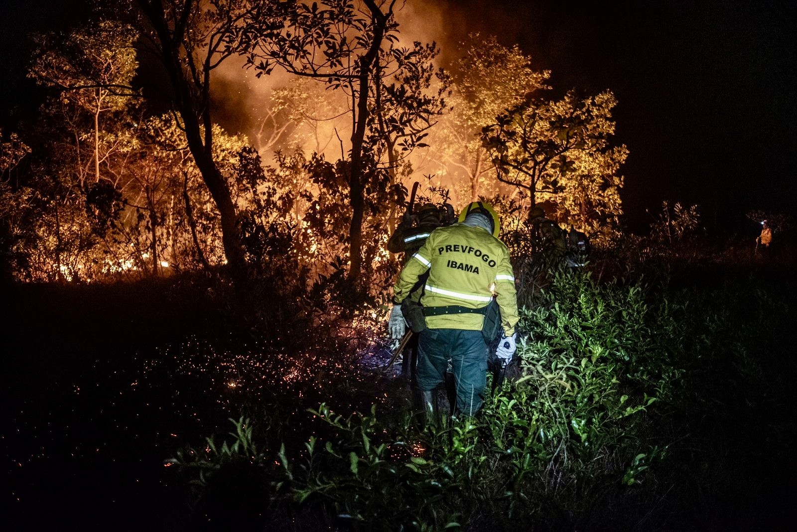 policia-ambiental-prendeu-42-pessoas-por-queimadas-e-aplicou-mais-de-r$-262-milhoes-em-multas-em-ro