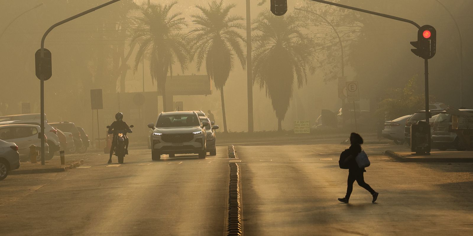 ato-em-sp-conclama-para-medidas-de-mitigacao-da-emergencia-climatica