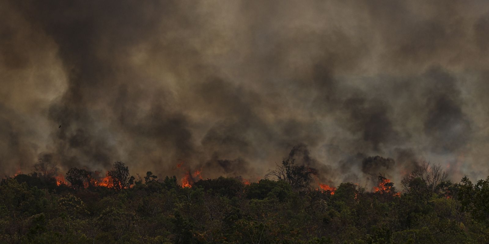 secretario-do-mma-ve-conotacao-politica-em-queimadas-na-amazonia