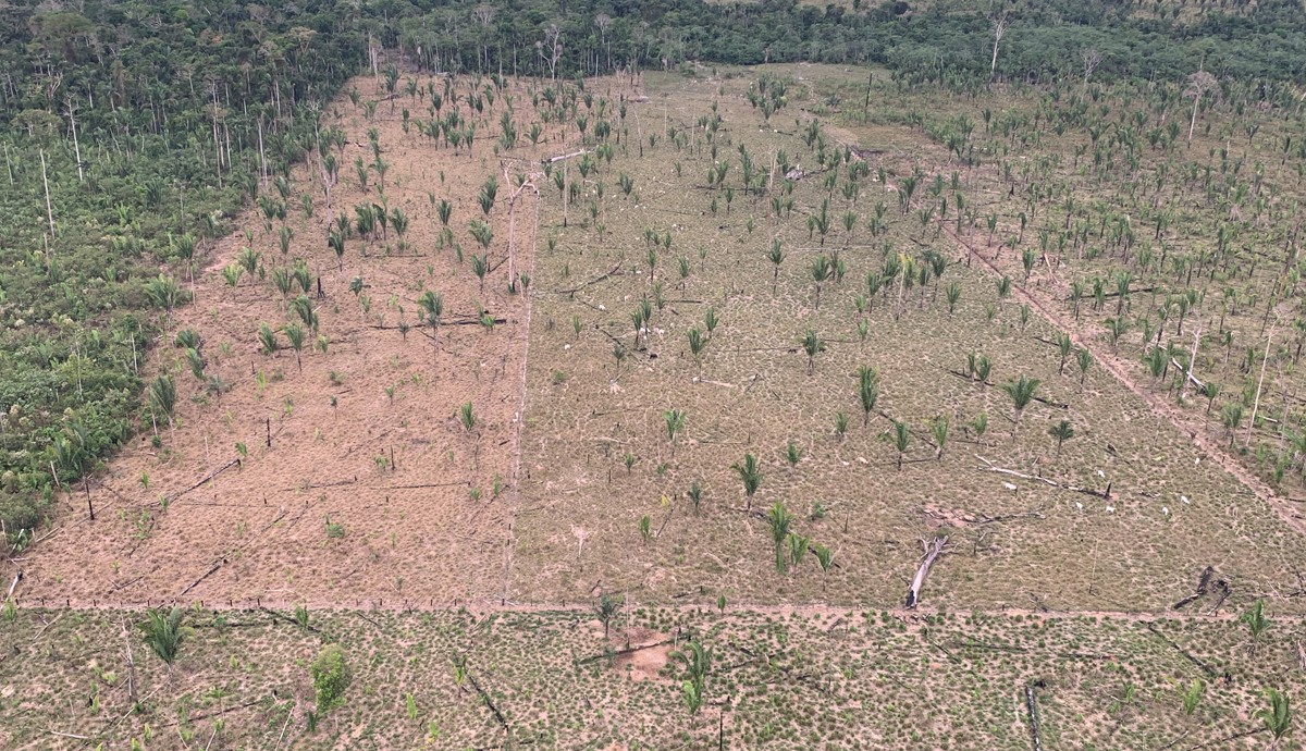 associacao-suspeita-de-participar-de-invasoes-ao-parque-guajara-mirim-e-extinta-apos-acao-do-mp-ro